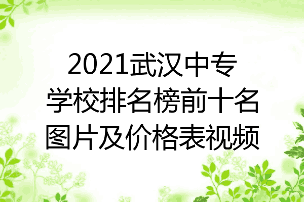 2021武汉中专学校排名榜前十名图片及价格表视频
