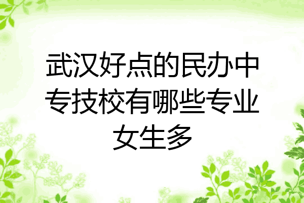 武汉好点的民办中专技校有哪些专业女生多