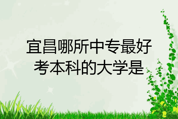 宜昌哪所中专最好考本科的大学是