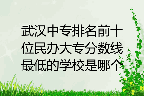 武汉中专排名前十位民办大专分数线最低的学校是哪个