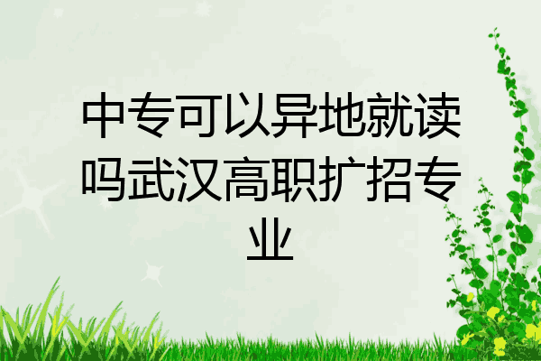 中专可以异地就读吗武汉高职扩招专业