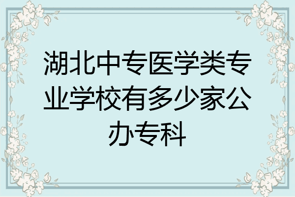 湖北中专医学类专业学校有多少家公办专科