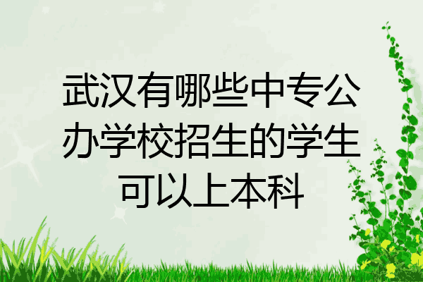 武汉有哪些中专公办学校招生的学生可以上本科