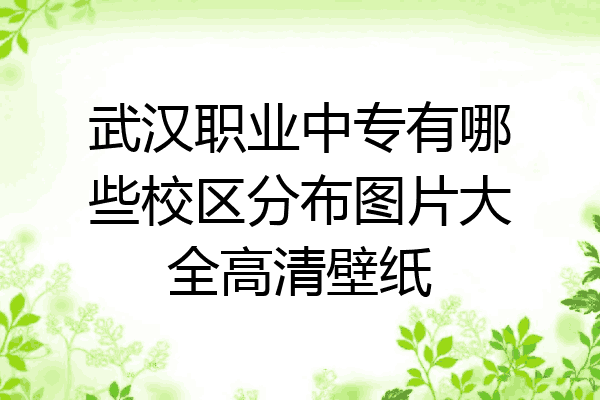 武汉职业中专有哪些校区分布图片大全高清壁纸