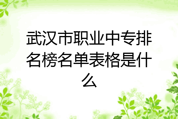 武汉市职业中专排名榜名单表格是什么