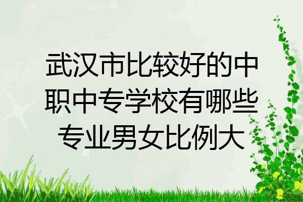 武汉市比较好的中职中专学校有哪些专业男女比例大