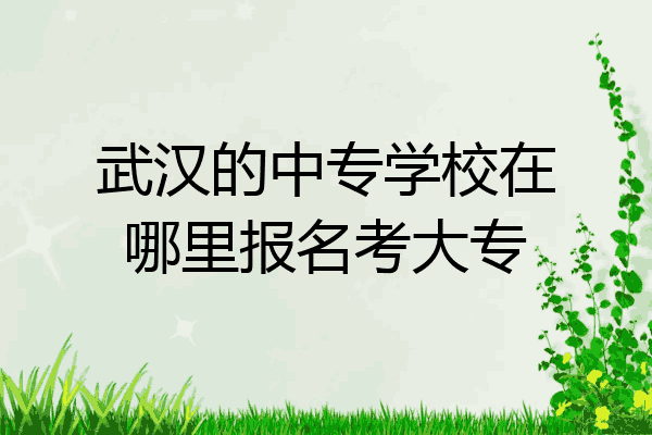 武汉的中专学校在哪里报名考大专
