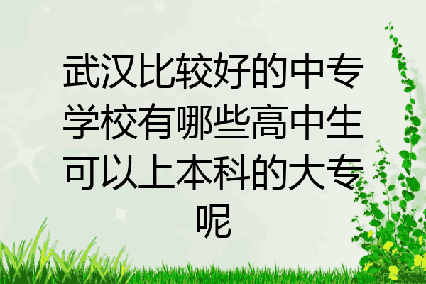 武汉比较好的中专学校有哪些高中生可以上本科的大专呢