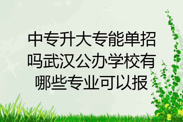 中专升大专能单招吗武汉公办学校有哪些专业可以报