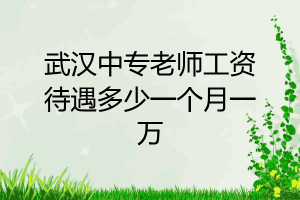 武汉中专老师工资待遇多少一个月一万