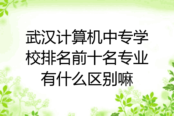 武汉计算机中专学校排名前十名专业有什么区别嘛