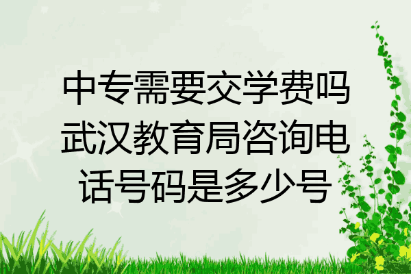 中专需要交学费吗武汉教育局咨询电话号码是多少号