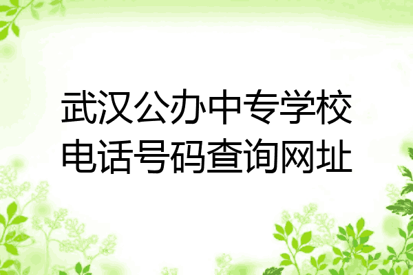 武汉公办中专学校电话号码查询网址