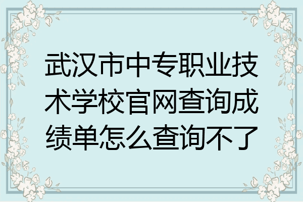 武汉市中专职业技术学校官网查询成绩单怎么查询不了