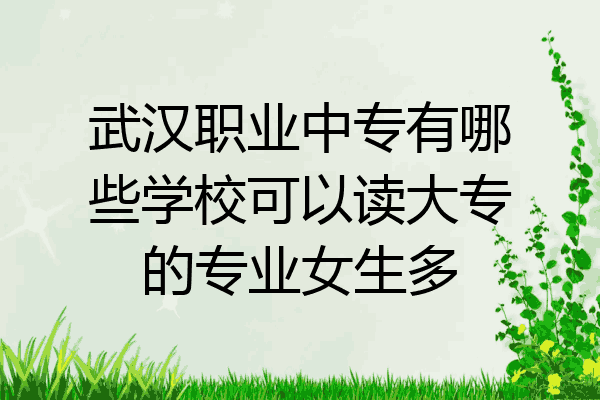 武汉职业中专有哪些学校可以读大专的专业女生多