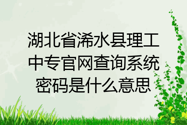 湖北省浠水县理工中专官网查询系统密码是什么意思