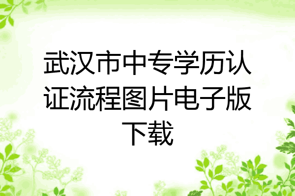 武汉市中专学历认证流程图片电子版下载