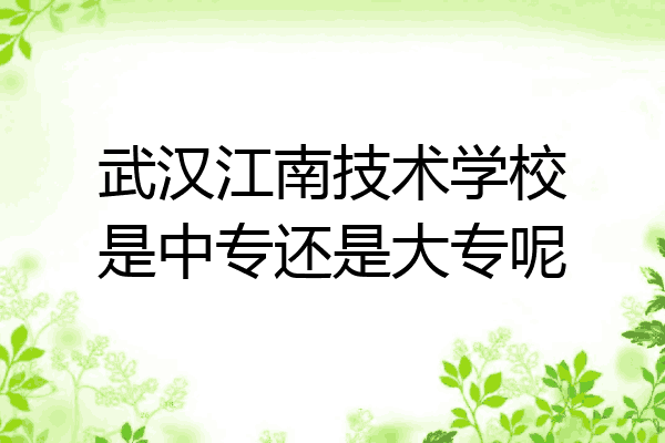武汉江南技术学校是中专还是大专呢