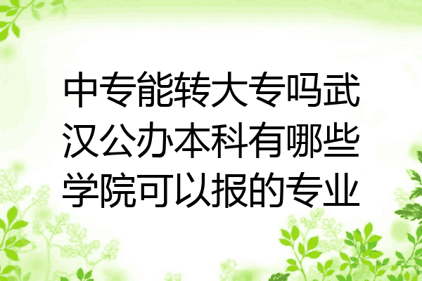 中专能转大专吗武汉公办本科有哪些学院可以报的专业