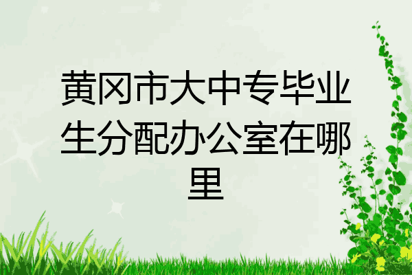 黄冈市大中专毕业生分配办公室在哪里