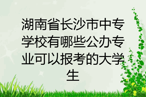 湖南省长沙市中专学校有哪些公办专业可以报考的大学生