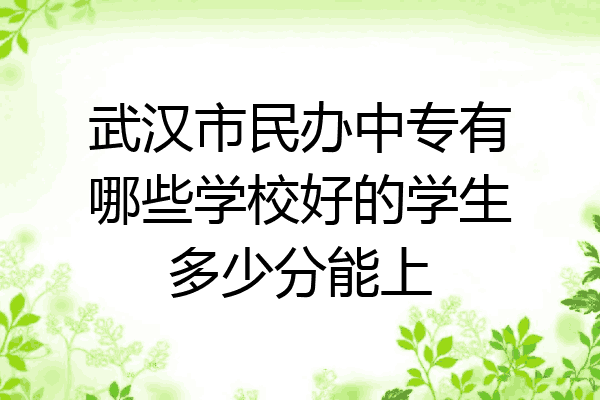 武汉市民办中专有哪些学校好的学生多少分能上