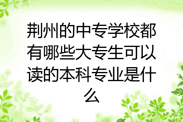 荆州的中专学校都有哪些大专生可以读的本科专业是什么