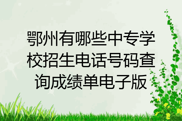 鄂州有哪些中专学校招生电话号码查询成绩单电子版
