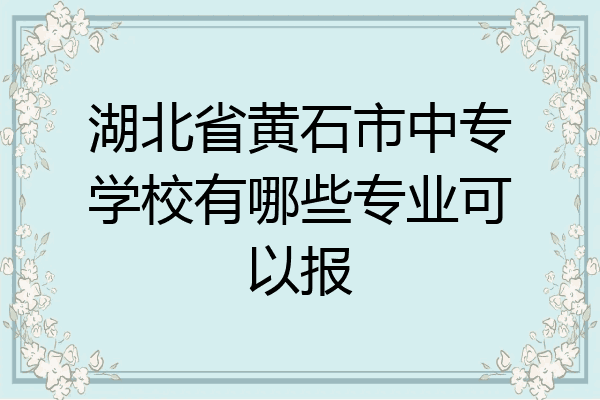 湖北省黄石市中专学校有哪些专业可以报