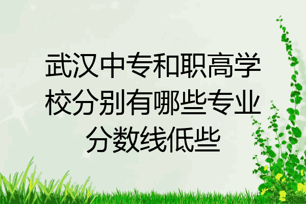 武汉中专和职高学校分别有哪些专业分数线低些
