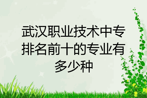 武汉职业技术中专排名前十的专业有多少种