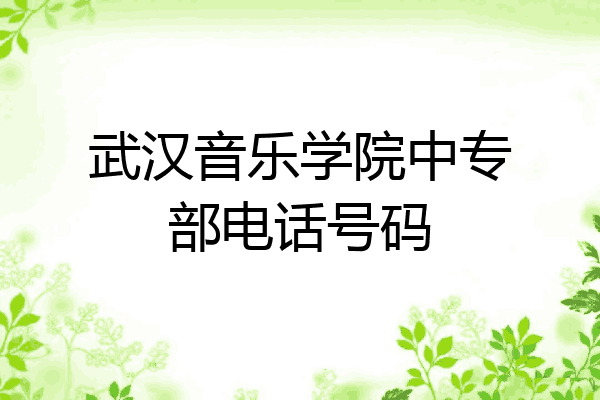 武汉音乐学院中专部电话号码