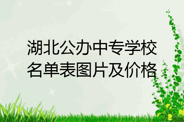 湖北公办中专学校名单表图片及价格