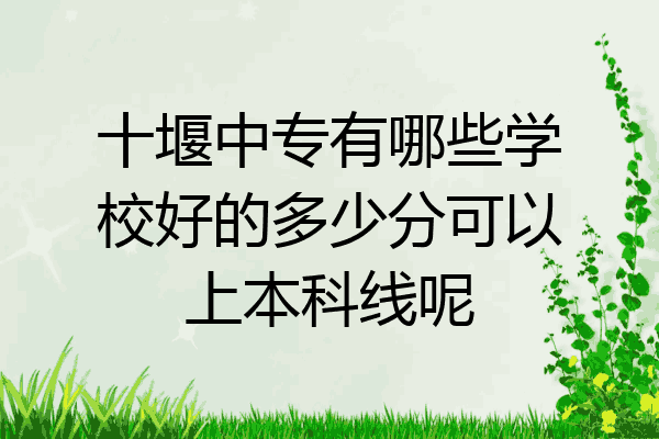 十堰中专有哪些学校好的多少分可以上本科线呢