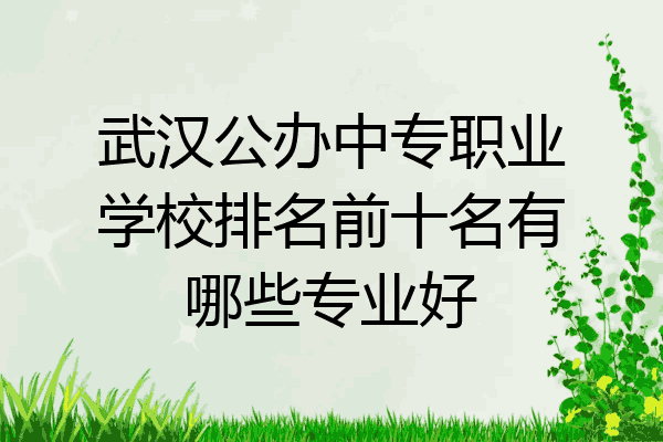 武汉公办中专职业学校排名前十名有哪些专业好