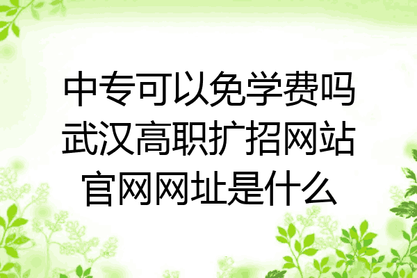 中专可以免学费吗武汉高职扩招网站官网网址是什么