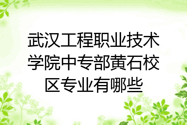 武汉工程职业技术学院中专部黄石校区专业有哪些