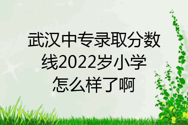 武汉中专录取分数线2022岁小学怎么样了啊