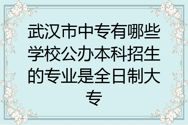 武汉市中专有哪些学校公办本科招生的专业是全日制大专