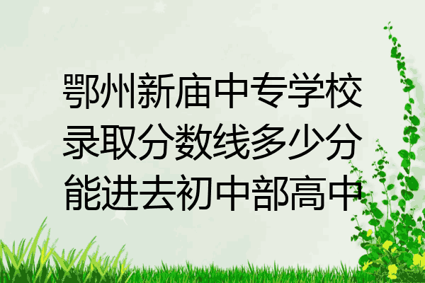 鄂州新庙中专学校录取分数线多少分能进去初中部高中