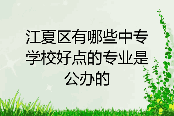 江夏区有哪些中专学校好点的专业是公办的