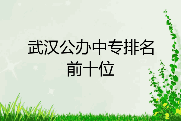武汉公办中专排名前十位
