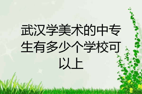武汉学美术的中专生有多少个学校可以上