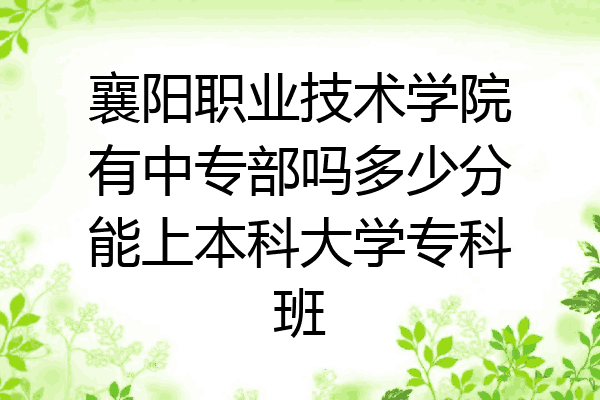 襄阳职业技术学院有中专部吗多少分能上本科大学专科班