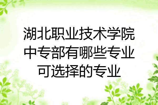 湖北职业技术学院中专部有哪些专业可选择的专业