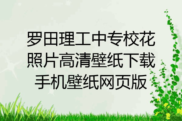罗田理工中专校花照片高清壁纸下载手机壁纸网页版