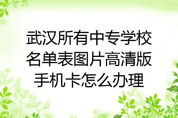 武汉所有中专学校名单表图片高清版手机卡怎么办理