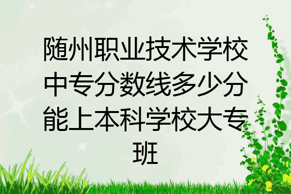 随州职业技术学校中专分数线多少分能上本科学校大专班