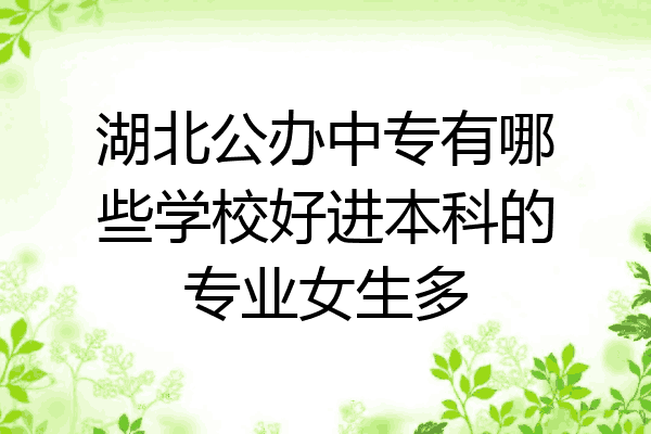 湖北公办中专有哪些学校好进本科的专业女生多