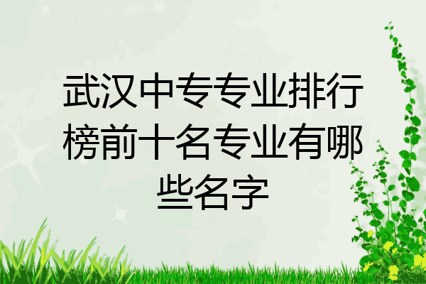 武汉中专专业排行榜前十名专业有哪些名字